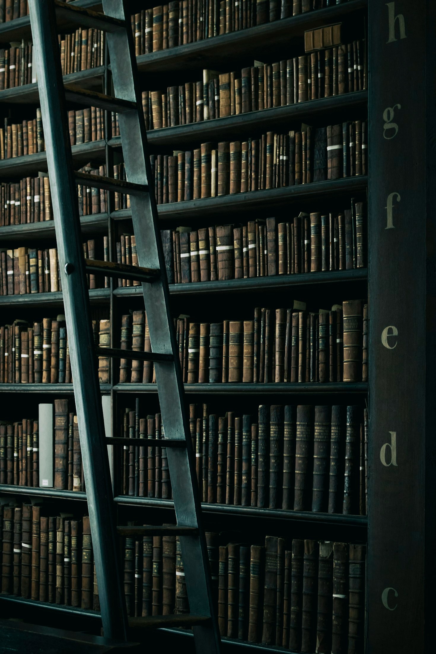 Cómo elegir el próximo libro para tu estantería